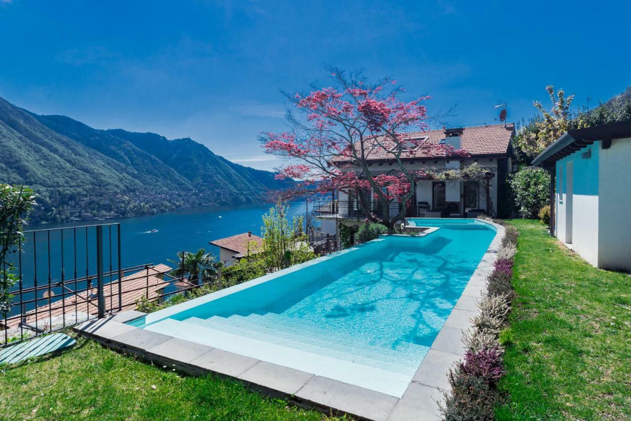 Relax With Infinity Pool On Lake Como By Rentallcomo Villa Moltrasio